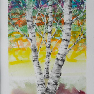 Série"Dans Ma Nature"DMN-5-2023